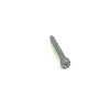 Tail Light Screw